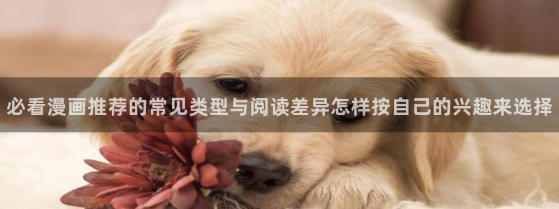 免费漫画网站入口