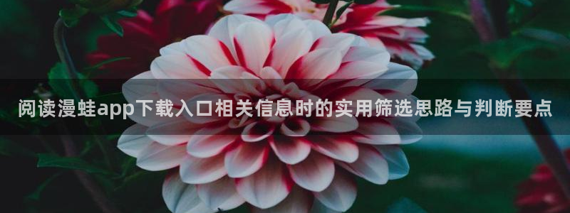免费看漫画网站地址