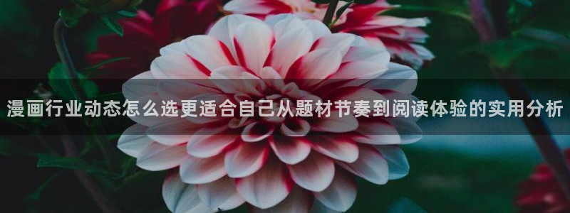 免费漫画新作推荐