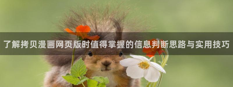 免费看漫画漫画大全