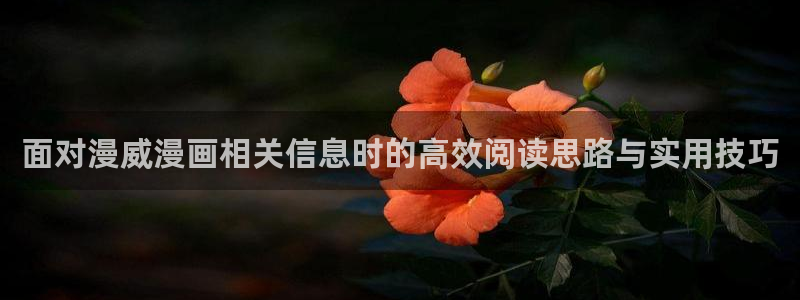 免费看漫画热门连载