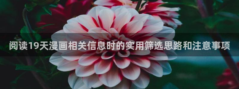 漫画免费阅读网站
