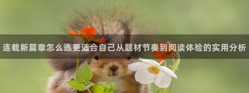 免费看漫画完结作品